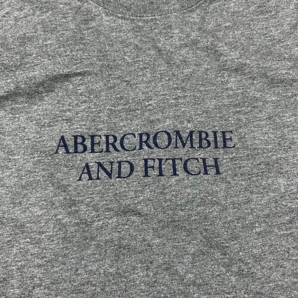 Abercrombie Fitch Grey Dragon Graphic T Shirt Size S - Picture 3 of 7